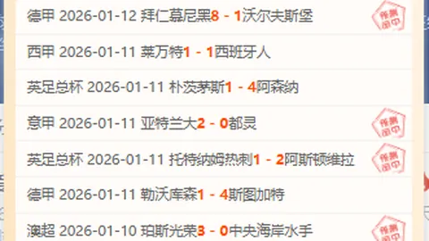 “王曦雨、王雅繁、张帅澳网女单首轮皆顺利过关”